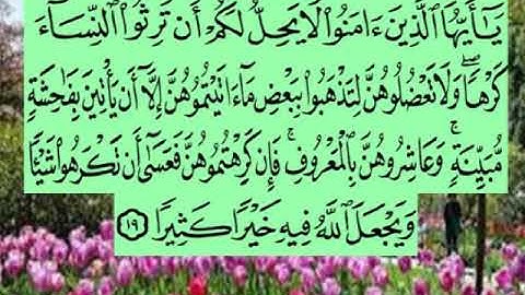 سورة النساء اية ١٩ جمال القرش