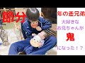 【年の差兄弟】大好きなお兄ちゃんが鬼になった時の弟の反応はいかに！？