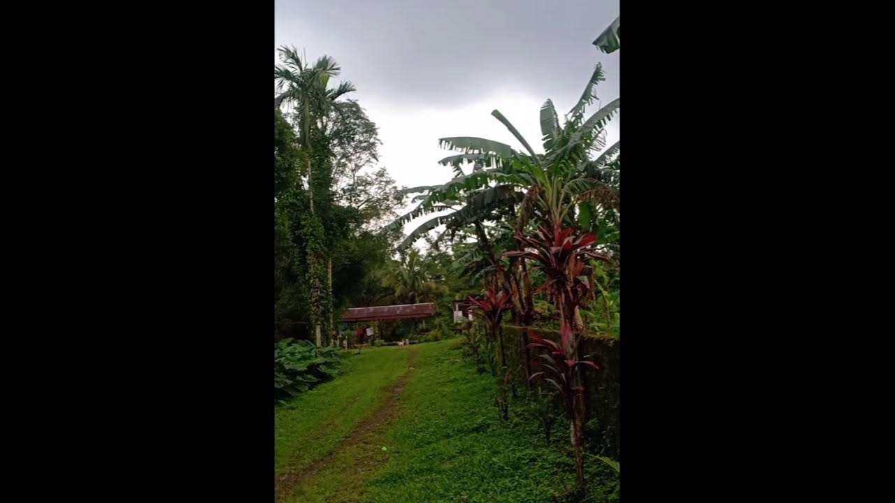 Farm lot for sale at Lucban Quezon YouTube