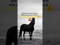 Good morning 🌄🌞!! good morning whatsapp status 🌞🌄#goodmorning #shorts #motivationalquotes #ytshorts