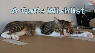 The Feline Shopper's Fantasy  A Cat's Wishlist