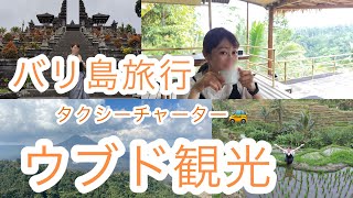 [Bali Trip] Day 1 | Ubud Sightseeing | Taxi Charter #Bali #Ubud #Besakih Temple #Telalagaan #Kint...
