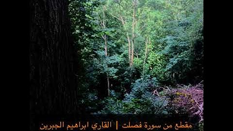 مقطع من سورة فصلت | القاري ابراهيم الجبرين