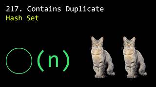 217. Contains Duplicate | Revision