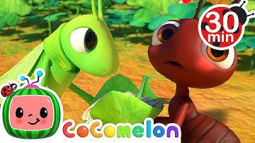 The Ant and the Grasshopper | Cocomelon | Learning Videos For Kids | Education Show For Toddlers
