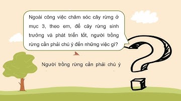 Giáo án powerpoint Bài 6: Chăm sóc cây rừng sau khi trồng | GA điện tử công nghệ 7 cánh diều