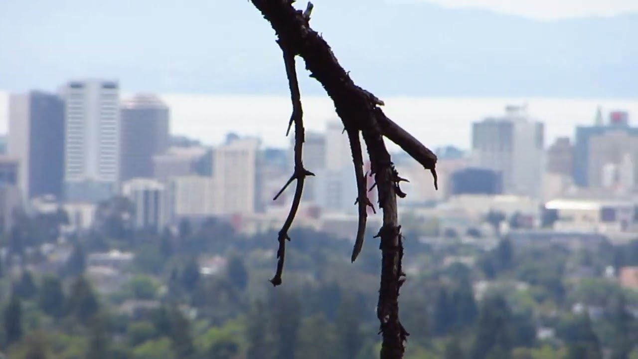 The Loose Cannons Discover Tightwad Hill, 06-09-'15