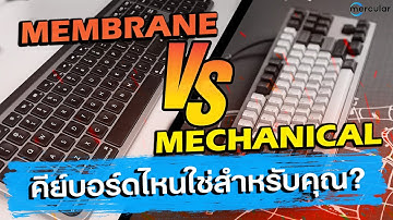 Membrane คีย์บอร์ด VS Mechanical คีย์บอร์ด ไหนใช่สำหรับคุณ ?