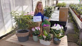 What to Send Mum for Mother’s Day? 6 Gorgeous Plant Gift Ideas (UK Delivery)