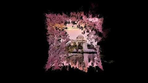 OpenGL Mesh - Cherry Blossom