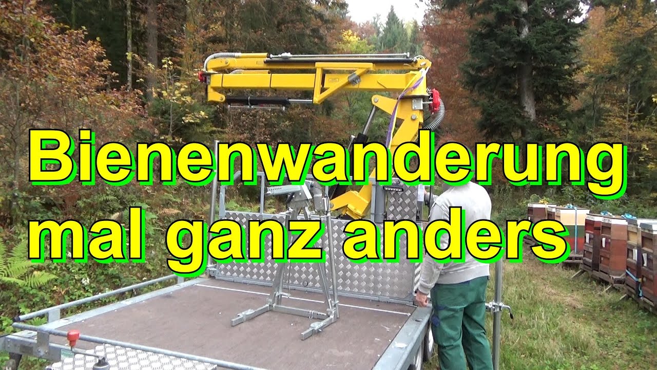 Bienenwanderung mal ganz anders