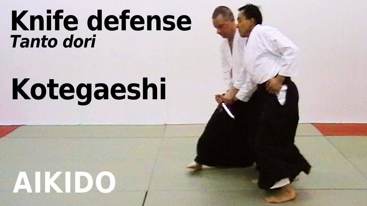 Aikido Tanto dori - knife defense 