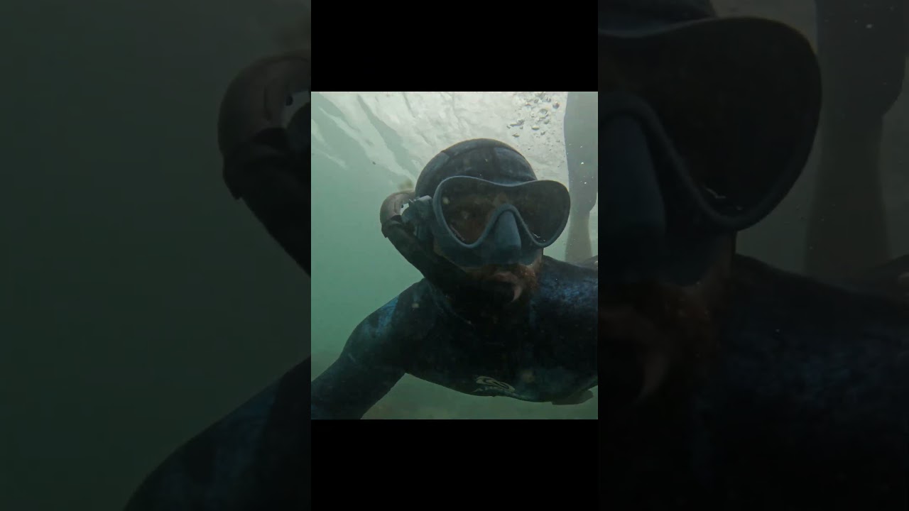 Эта акула меня напугала.