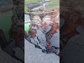 VÍDEO: FALTA DE MANUTENÇÃO EM RODOVIA PREJUDICA TURISMO NO RN
