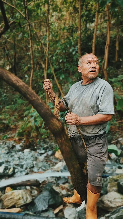 A Day Spent in the Jungle | Nature’s Wild Beauty.#shorts ##shortsfeed