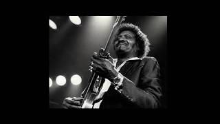 Video thumbnail of "Albert Collins - I Ain't Drunk"