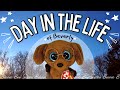 Cinematic vlog of beverlys day  adventure montage  beanie boo safari