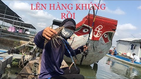 Câu tôm trúng ổ tôm càng xanh lên hàng liên tục T2