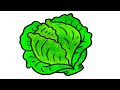 How to draw a cabbage  cabbage drawing step by step  easy drawing 