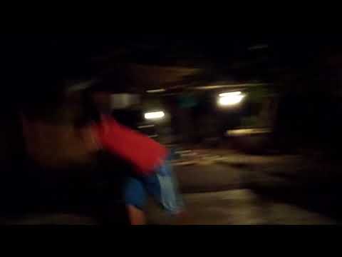 Macaco back