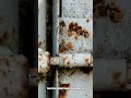 Knocking Came From a Locked Storage Unit — It Was Empty