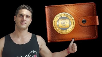 NLC2 Wallet Tutorial by Alan