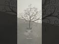 Aluminium Decorative Cutting