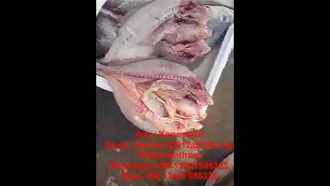 KB-500 economic fish fillet machine, fish filleting cutting butterfly cut machine cutter