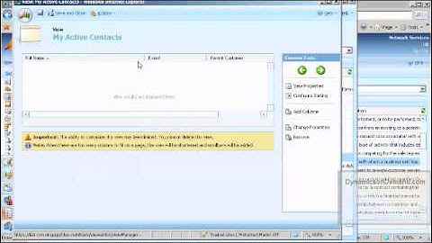 Dynamicsondemand.com MSCRM Customizations 101
