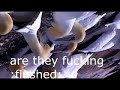 Middle of video