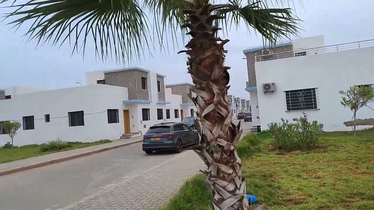 Temsamane Trougot 11-8-2024 تمسمان تروكوت