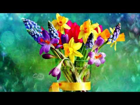 Video CÒN GẶP NHAU - Nhạc Võ Tá Hân - Thơ Tôn Nữ Hỷ Khương -... - youtube
