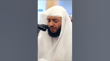 الشيخ وديع اليمني تلاوة بديعة تأخذ بمجامع القلب 🤍 #وديع_اليمني #تلاوة_خاشعة #ارح_قلبك