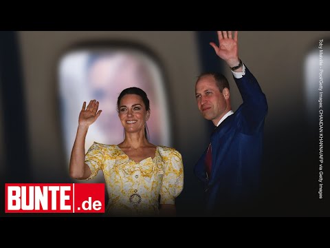 Video: Roberto Cavalli riet Herzogin Kate, sich sexier zu kleiden