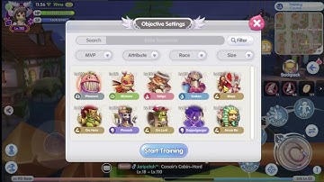 ROX Wanderer DPS How look like