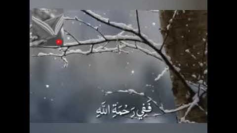 تلاوة خاشعة وآيات مباركة من سورة آل عمران.📚/القارئ عبدالله الموسى./حالات واتس أب دينية.💞