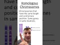 Homologous chromosomes Mp3 Song