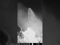 Do you see the fox? Listen to her eat!
