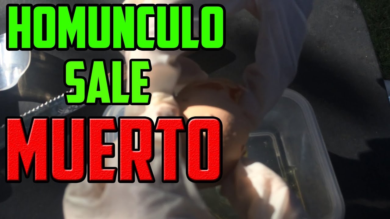 ¡SALE MUERTO! |Hice mi propio Homunculo| - YouTube