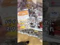 理系大学院生のバイトして研究室にいく土曜日VLOG #vlog #物理学科