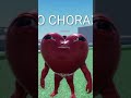 pvrf se iscreva