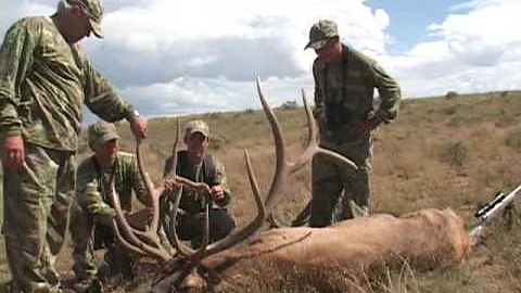 Don Colburn Elk