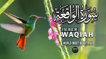 Surah Al Waqiah سورة الواقعة | This MARVELOUS Voice will TOUCH Your HEART  | Muniba Islamic Hub