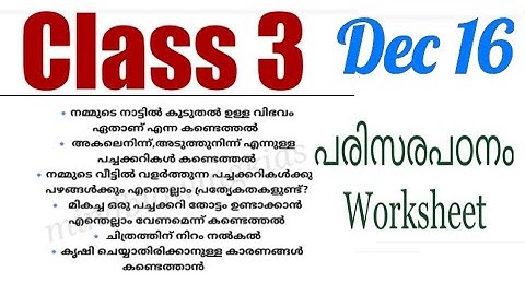 Class 3 Evs worksheet December 16|3 std parisarapadanam| kite victers std 3 evs class December 16
