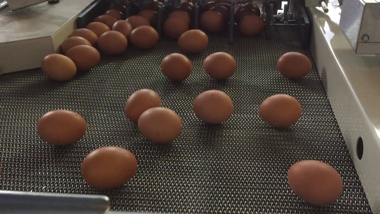 Staalkat Compacta 45