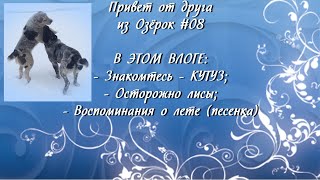 Привет от друга из Озёрок #08