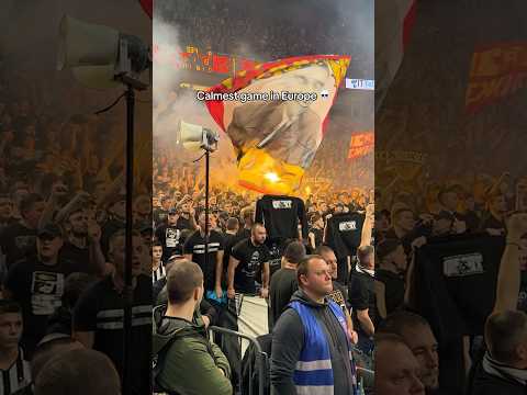 Video Once in a lifetime experience ? #euroleague #basketball #europe #partizan #explore #shorts #viral