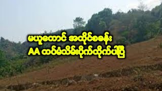 မယူတောင်စခန်း AAထပ်မံသိမ်းပိုက်လိုက်ပါပြီ screenshot 5