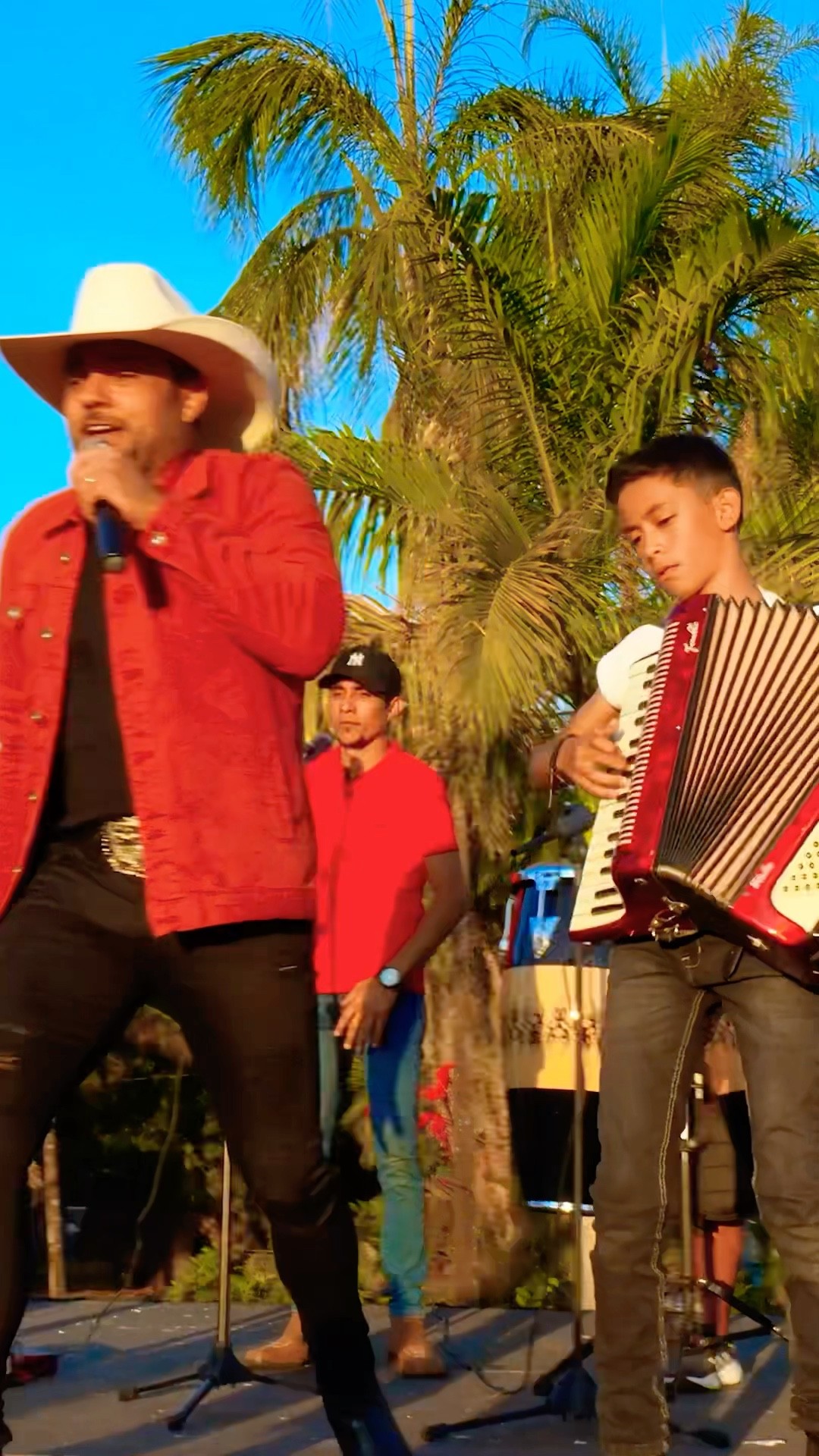 Leãozinho do forró forró do meu Goiás #boanoiteee #leaozinho #musica #leãozinho #estourado