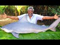 15 KG SHARK FISH RECIPE | Big Shark Fish Cooking and Eating in Village | Farmer Cooking Channel